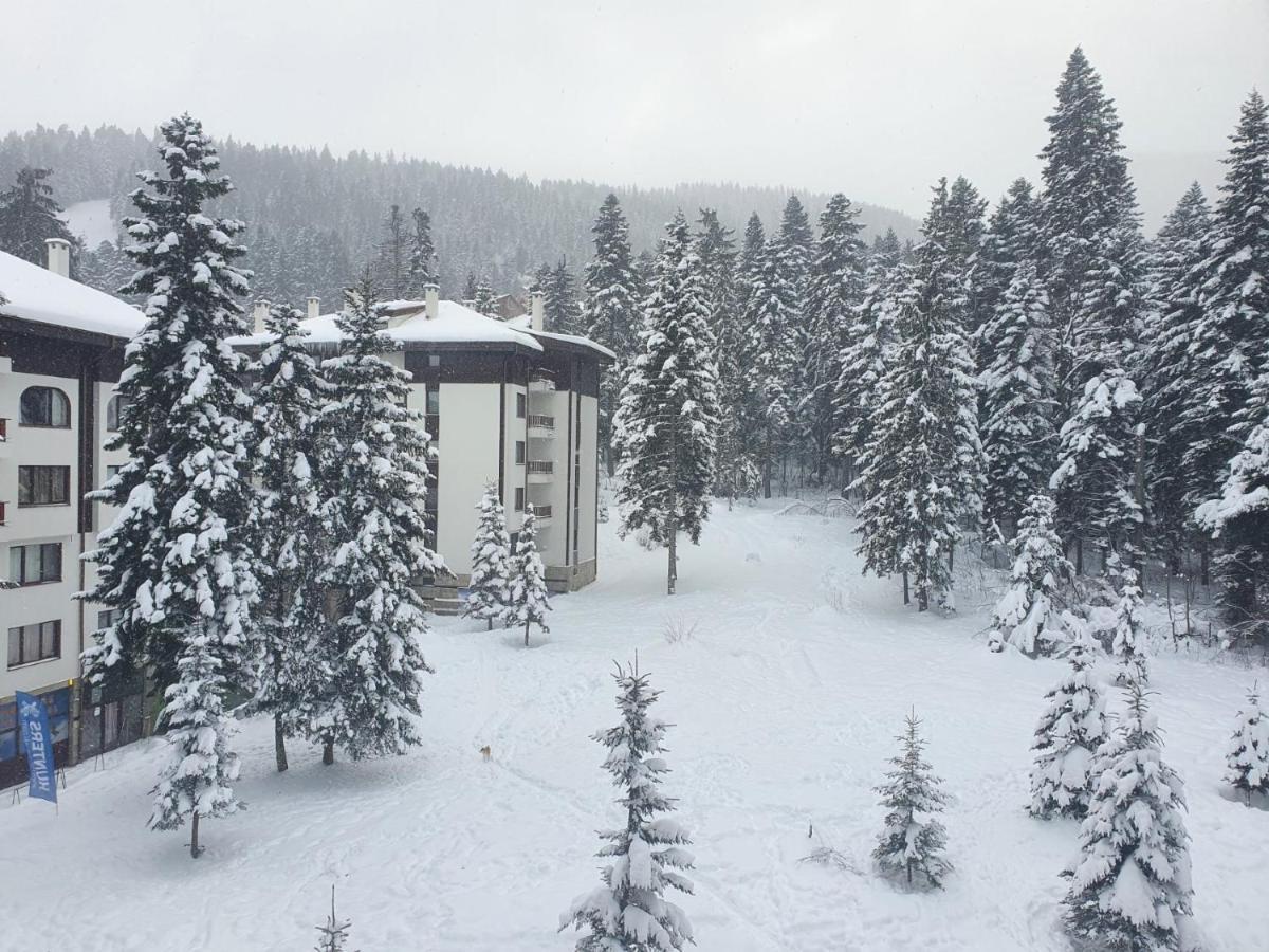 Flora Apartments Tmf Borovets Ngoại thất bức ảnh