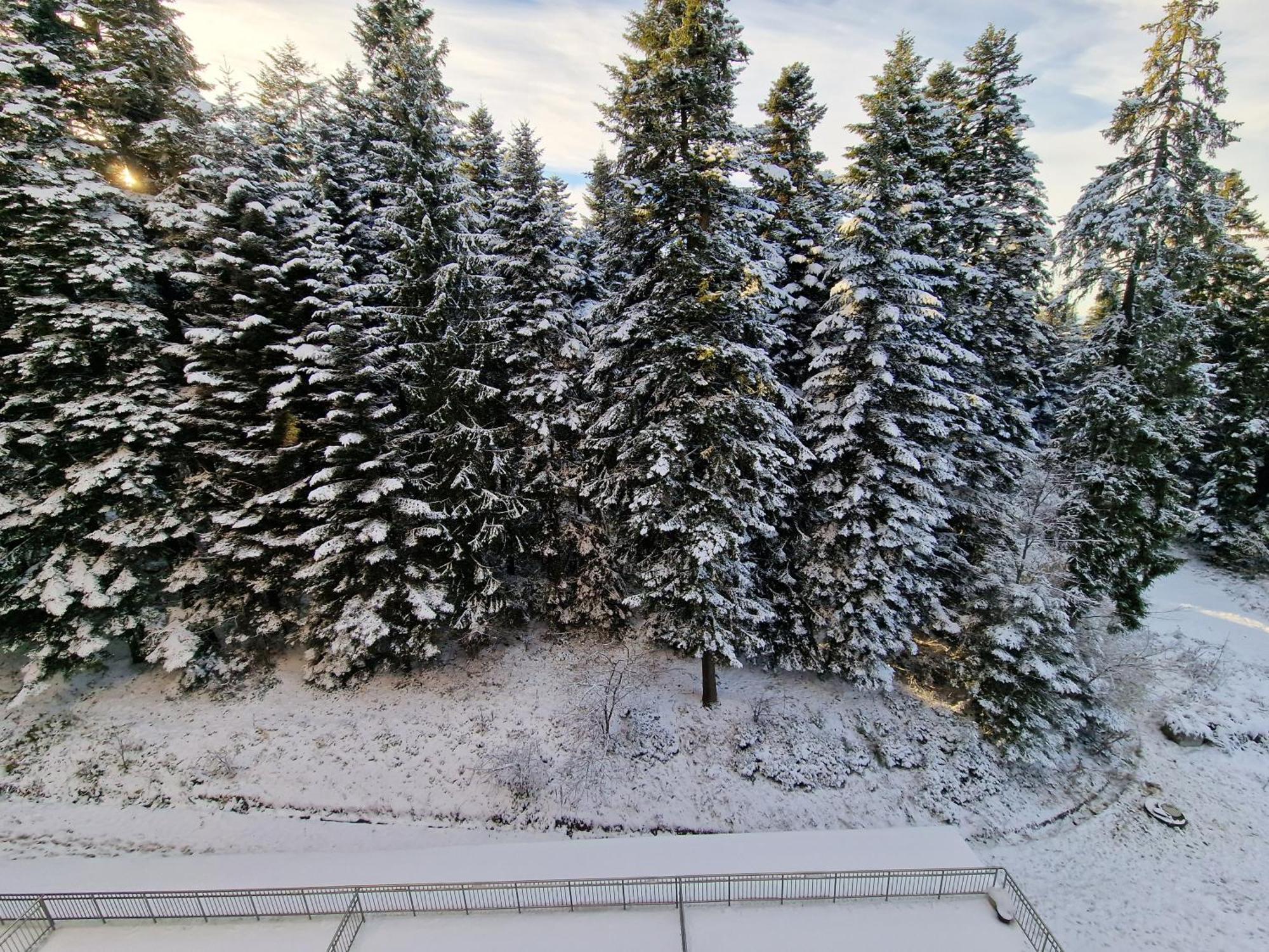 Flora Apartments Tmf Borovets Phòng bức ảnh