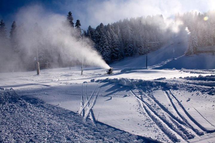 Flora Apartments Tmf Borovets Ngoại thất bức ảnh